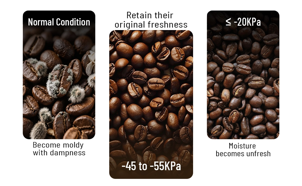 coffee beans vacuum storage canister