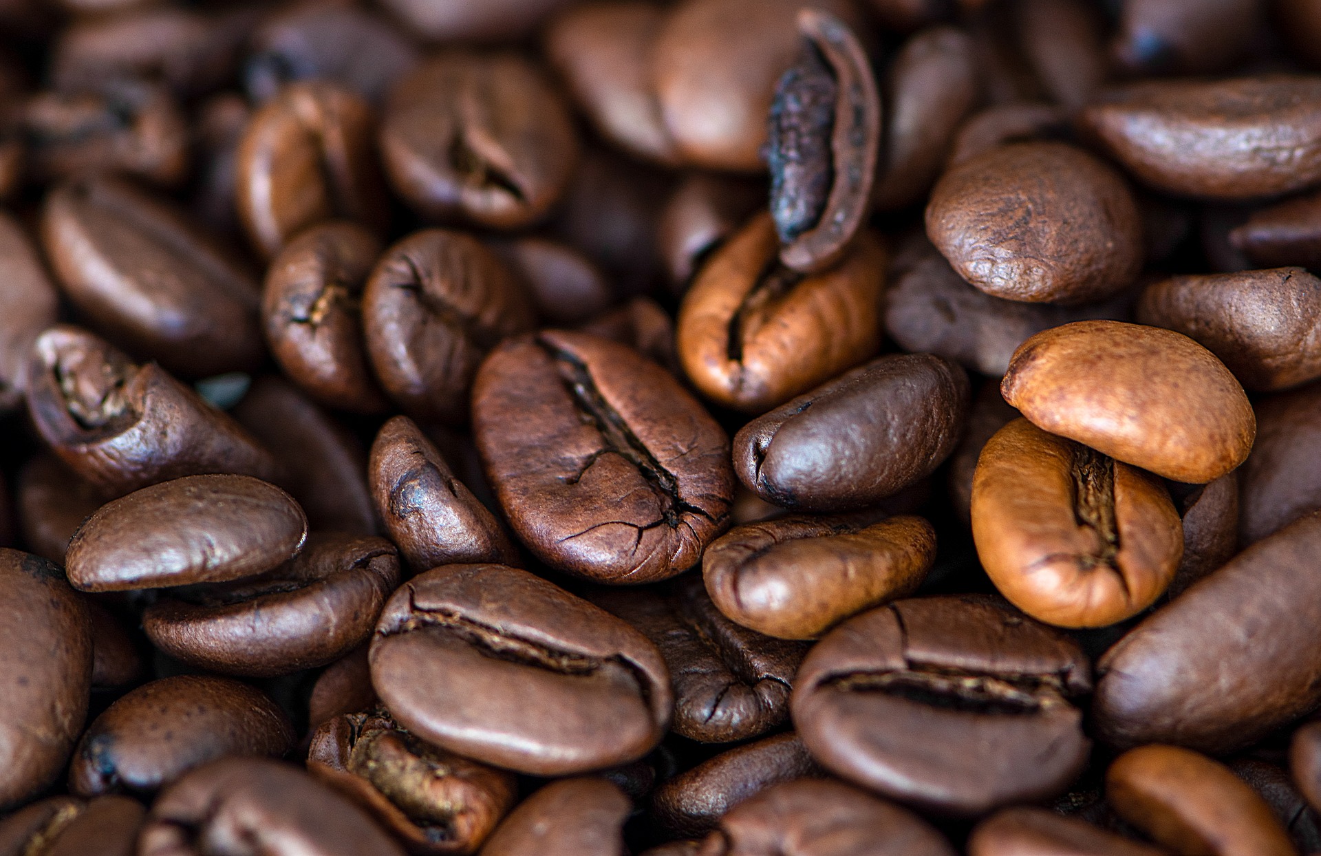 coffee beans